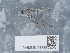  ( - NHMUK015557426)  @11 [ ] Unspecified (default): All Rights Reserved  Unspecified Unspecified