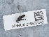  ( - NHMUK015557449)  @11 [ ] Unspecified (default): All Rights Reserved  Unspecified Unspecified