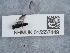  ( - NHMUK015557449)  @11 [ ] Unspecified (default): All Rights Reserved  Unspecified Unspecified
