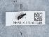  ( - NHMUK015557449)  @11 [ ] Unspecified (default): All Rights Reserved  Unspecified Unspecified