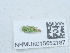  ( - NHMUK015652187)  @11 [ ] Unspecified (default): All Rights Reserved  Unspecified Unspecified