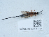  ( - NHMUK015931832)  @11 [ ] Unspecified (default): All Rights Reserved  Unspecified Unspecified