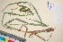  ( - TROM_V_103645_sg)  @11 [ ] CreativeCommons - Attribution Non-Commercial Share-Alike (2016) Unspecified Tromso University Museum