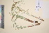  ( - TROM_V_104134_sg)  @11 [ ] CreativeCommons - Attribution Non-Commercial Share-Alike (2016) Unspecified Tromso University Museum