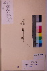  ( - TROM_V_114840_sg)  @11 [ ] CreativeCommons - Attribution Non-Commercial Share-Alike (2018) Unspecified Tromsø University Museum