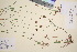  ( - TROM_V_122373_sg)  @11 [ ] CreativeCommons - Attribution Non-Commercial Share-Alike (2016) Unspecified Tromso University Museum