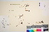  ( - TROM_V_122483_sg)  @11 [ ] CreativeCommons - Attribution Non-Commercial Share-Alike (2016) Unspecified Tromso University Museum