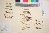  ( - TROM_V_124009_sg)  @11 [ ] CreativeCommons - Attribution Non-Commercial Share-Alike (2016) Unspecified Tromso University Museum