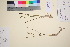  ( - TROM_V_126379_sg)  @11 [ ] CreativeCommons - Attribution Non-Commercial Share-Alike (2016) Unspecified Tromso University Museum