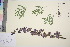  ( - TROM_V_133129_sg)  @11 [ ] CreativeCommons - Attribution Non-Commercial Share-Alike (2016) Unspecified Tromso University Museum