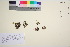  ( - TROM_V_134131_sg)  @11 [ ] CreativeCommons - Attribution Non-Commercial Share-Alike (2016) Unspecified Tromso University Museum