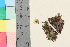  ( - TROM_V_134131_sg)  @11 [ ] CreativeCommons - Attribution Non-Commercial Share-Alike (2016) Unspecified Tromso University Museum