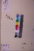  ( - TROM_V_134261_sg)  @11 [ ] CreativeCommons - Attribution Non-Commercial Share-Alike (2018) Unspecified Tromsø University Museum