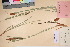  ( - TROM_V_135706_sg)  @11 [ ] CreativeCommons - Attribution Non-Commercial Share-Alike (2017) Unspecified Tromsø University Museum
