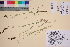  ( - TROM_V_135711_sg)  @11 [ ] CreativeCommons - Attribution Non-Commercial Share-Alike (2017) Unspecified Tromsø University Museum