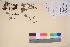  ( - TROM_V_135764_sg)  @11 [ ] CreativeCommons - Attribution Non-Commercial Share-Alike (2017) Unspecified Tromsø University Museum