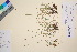  ( - TROM_V_140250_sg)  @11 [ ] CreativeCommons - Attribution Non-Commercial Share-Alike (2016) Unspecified Tromso University Museum