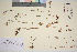  ( - TROM_V_140856_sg)  @11 [ ] CreativeCommons - Attribution Non-Commercial Share-Alike (2016) Unspecified Tromso University Museum