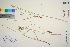  ( - TROM_V_147874_sg)  @11 [ ] CreativeCommons - Attribution Non-Commercial Share-Alike (2016) Unspecified Tromso University Museum