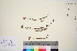  ( - TROM_V_148816_sg)  @11 [ ] CreativeCommons - Attribution Non-Commercial Share-Alike (2016) Unspecified Tromso University Museum