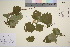  ( - TROM_V_148854_sg)  @11 [ ] CreativeCommons - Attribution Non-Commercial Share-Alike (2016) Unspecified Tromso University Museum