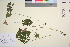  ( - TROM_V_149285_sg)  @11 [ ] CreativeCommons - Attribution Non-Commercial Share-Alike (2016) Unspecified Tromso University Museum