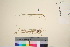  ( - TROM_V_14957_sg)  @11 [ ] CreativeCommons - Attribution Non-Commercial Share-Alike (2016) Unspecified Tromso University Museum