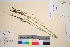  ( - TROM_V_15492_sg)  @11 [ ] CreativeCommons - Attribution Non-Commercial Share-Alike (2016) Unspecified Tromso University Museum