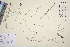  ( - TROM_V_162535_sg)  @11 [ ] CreativeCommons - Attribution Non-Commercial Share-Alike (2016) Unspecified Tromso University Museum