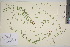  ( - TROM_V_162575_sg)  @11 [ ] CreativeCommons - Attribution Non-Commercial Share-Alike (2016) Unspecified Tromso University Museum