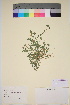  ( - TROM_V_163633_sg)  @11 [ ] CreativeCommons - Attribution Non-Commercial Share-Alike (2016) Unspecified Tromso University Museum