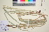  ( - TROM_V_166663_sg)  @11 [ ] CreativeCommons - Attribution Non-Commercial Share-Alike (2016) Unspecified Tromso University Museum