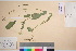  ( - TROM_V_170096_sg)  @11 [ ] CreativeCommons - Attribution Non-Commercial Share-Alike (2016) Unspecified Tromso University Museum