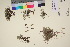  ( - TROM_V_201898_sg)  @11 [ ] CreativeCommons - Attribution Non-Commercial Share-Alike (2017) Unspecified Tromsø University Museum
