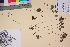  ( - TROM_V_201928_sg)  @11 [ ] CreativeCommons - Attribution Non-Commercial Share-Alike (2017) Unspecified Tromsø University Museum