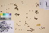  ( - TROM_V_201928_sg)  @11 [ ] CreativeCommons - Attribution Non-Commercial Share-Alike (2017) Unspecified Tromsø University Museum