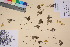  ( - TROM_V_201928_sg)  @11 [ ] CreativeCommons - Attribution Non-Commercial Share-Alike (2017) Unspecified Tromsø University Museum