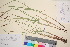 ( - TROM_V_2325_sg)  @11 [ ] CreativeCommons - Attribution Non-Commercial Share-Alike (2016) Unspecified Tromsø University Museum
