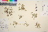  ( - TROM_V_28322_sg)  @11 [ ] CreativeCommons - Attribution Non-Commercial Share-Alike (2016) Unspecified Tromso University Museum