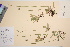  ( - TROM_V_33675_sg)  @11 [ ] CreativeCommons - Attribution Non-Commercial Share-Alike (2016) Unspecified Tromso University Museum