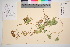  ( - TROM_V_38451_sg)  @11 [ ] CreativeCommons - Attribution Non-Commercial Share-Alike (2016) Unspecified Tromso University Museum