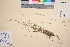  ( - TROM_V_44489_sg)  @11 [ ] CreativeCommons - Attribution Non-Commercial Share-Alike (2016) Unspecified Tromso University Museum