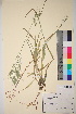  ( - TROM_V_49066_sg)  @11 [ ] CreativeCommons - Attribution Non-Commercial Share-Alike (2017) Unspecified Tromsø University Museum