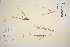  ( - TROM_V_56164_sg)  @11 [ ] CreativeCommons - Attribution Non-Commercial Share-Alike (2016) Unspecified Tromso University Museum