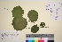  ( - TROM_V_5712_sg)  @11 [ ] CreativeCommons - Attribution Non-Commercial Share-Alike (2016) Unspecified Tromsø University Museum