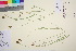  ( - TROM_V_650189_sg)  @11 [ ] CreativeCommons - Attribution Non-Commercial Share-Alike (2016) Unspecified Tromso University Museum
