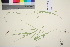  ( - TROM_V_650189_sg)  @11 [ ] CreativeCommons - Attribution Non-Commercial Share-Alike (2016) Unspecified Tromso University Museum
