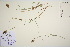  ( - TROM_V_650529_sg)  @11 [ ] CreativeCommons - Attribution Non-Commercial Share-Alike (2016) Unspecified Tromso University Museum