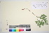  ( - TROM_V_650592_sg)  @11 [ ] CreativeCommons - Attribution Non-Commercial Share-Alike (2016) Unspecified Tromso University Museum
