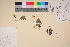  ( - TROM_V_65366_sg)  @11 [ ] CreativeCommons - Attribution Non-Commercial Share-Alike (2017) Unspecified Tromsø University Museum